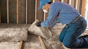 Best Blown-In Insulation  in Sunray, TX