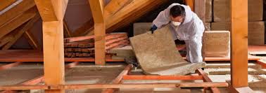 Best Insulation for New Construction  in Sunray, TX