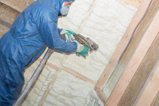 Types of Insulation We Offer in Sunray, TX